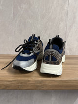 Dior B22 Blauw Zilver
