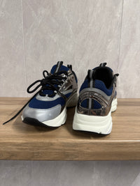 Dior B22 Blauw Zilver