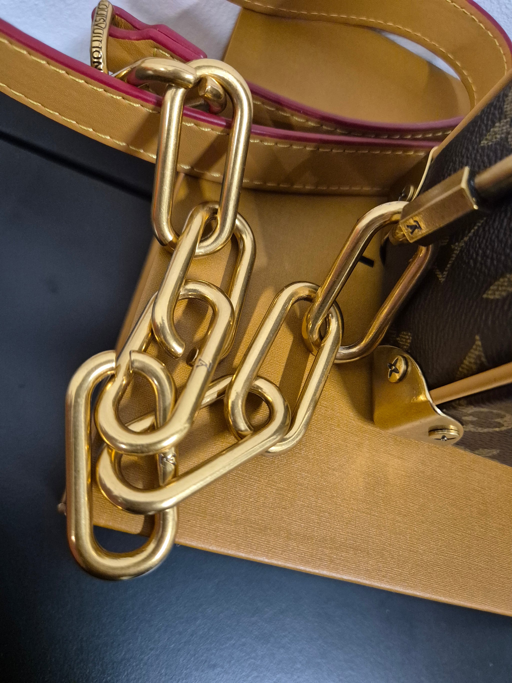 DAMES TASSEN LouisVuitton Soft Trunk